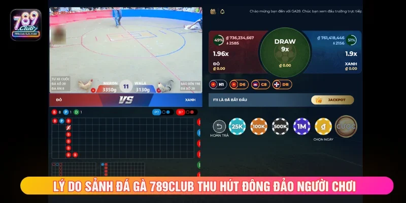 Đá gà 789CLUB luôn được nhiều người chơi quan tâm