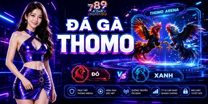 Đá gà Thomo