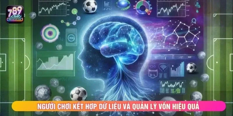 Người chơi kết hợp dữ liệu và quản lý vốn hiệu quả