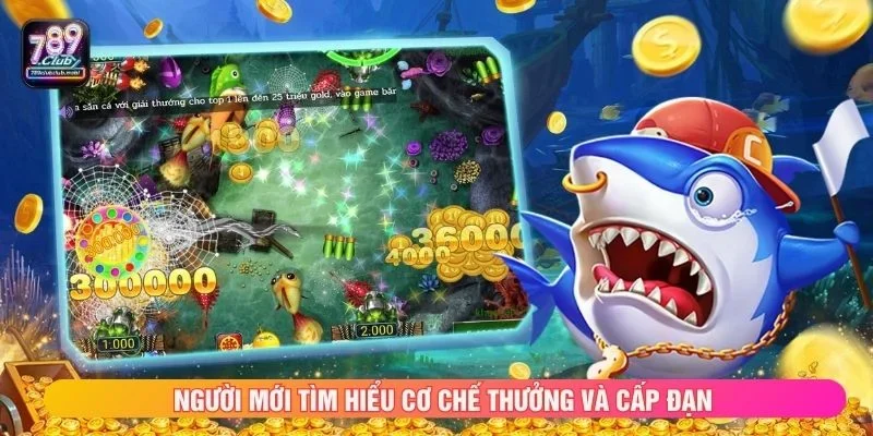 Người mới tìm hiểu cơ chế thưởng và cấp đạn