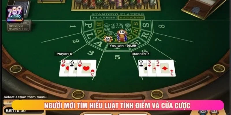 Người mới tìm hiểu luật tính điểm và cửa cược