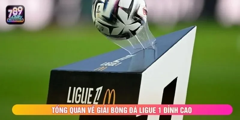 Tổng quan về giải bóng đá Ligue 1 đỉnh cao